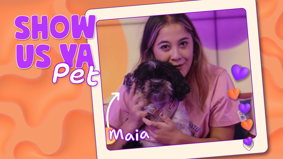 Competition_ShowUsYaPet_Episode_07_01